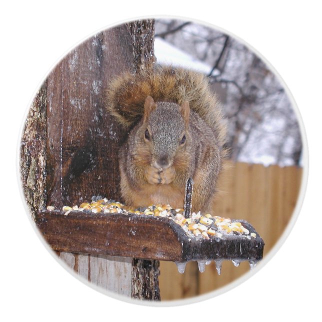 ekorreknoppar knopp (Framsidan)