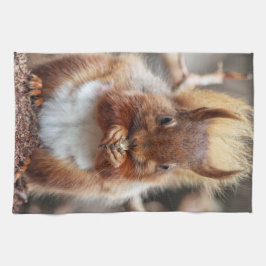 Ekorrekökshandduk Kökshandduk