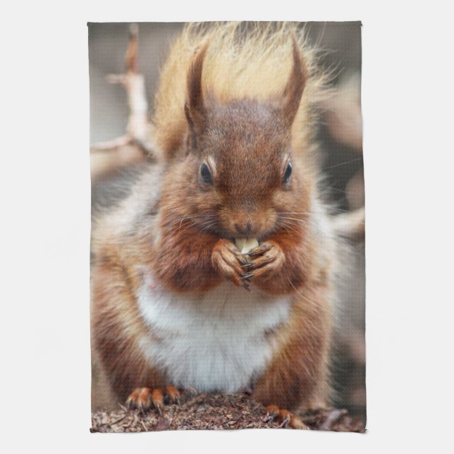 Ekorrekökshandduk Kökshandduk (Vertikal)