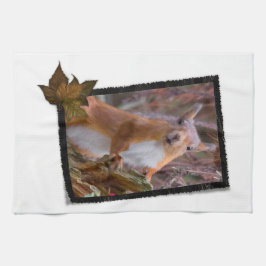 Ekorrekökshandduk Kökshandduk