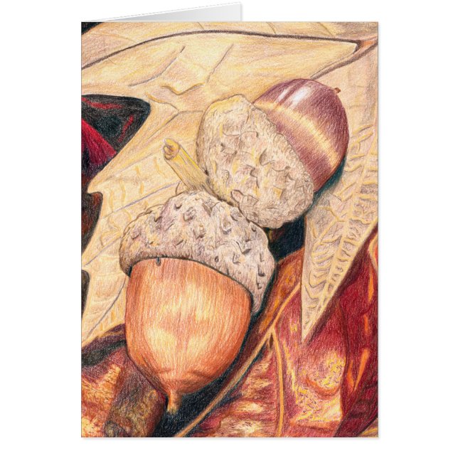 Ekorremat Hälsningskort (Framsidan)