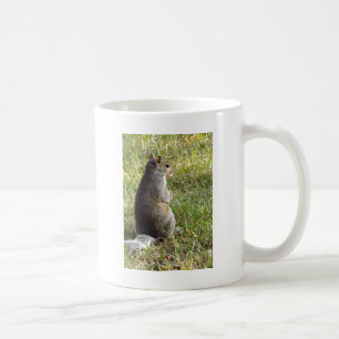 Ekorremeditationar Kaffemugg