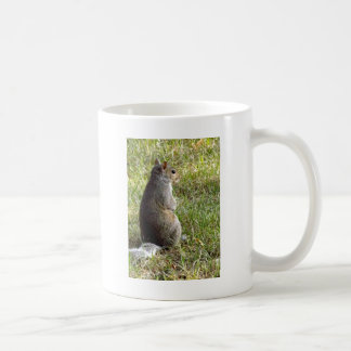 Ekorremeditationar Kaffemugg