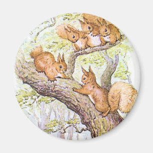 Ekorremöte Magnet