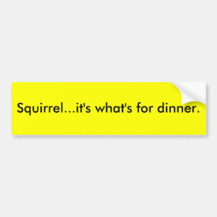 Ekorren… är det vad är för dinner. bildekal