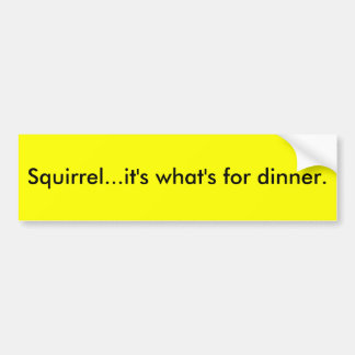 Ekorren… är det vad är för dinner. bildekal