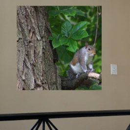 ekorren i Träd Photo Poster
