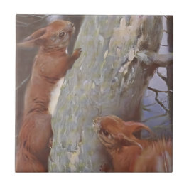 EKORREN (Sciurus vulgaris) Kakelplatta