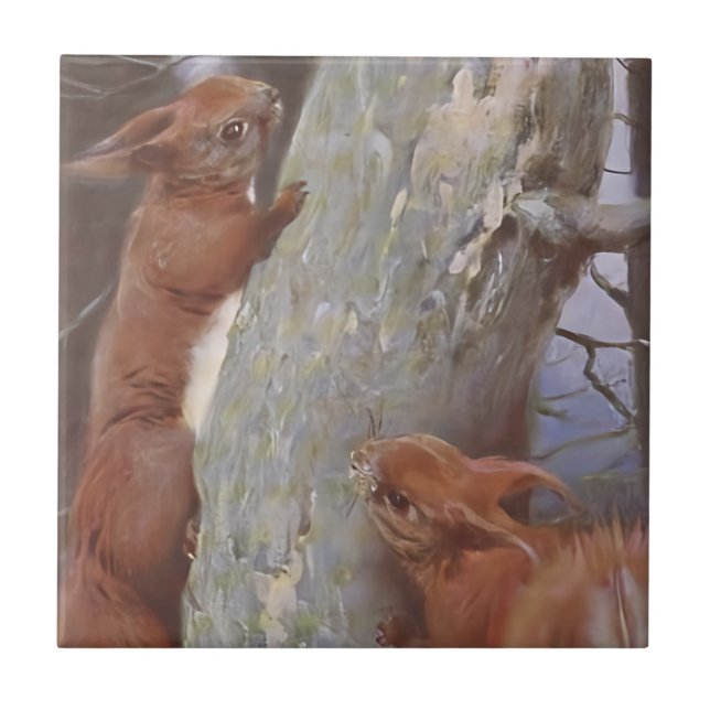 EKORREN (Sciurus vulgaris) Kakelplatta (Framsidan)