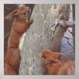 EKORREN (Sciurus vulgaris) Poster