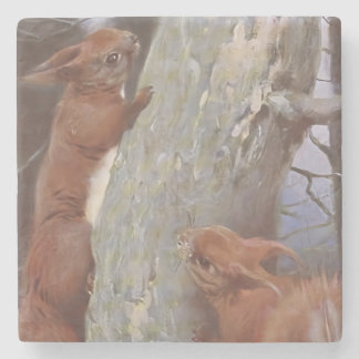 EKORREN (Sciurus vulgaris) Stenunderlägg