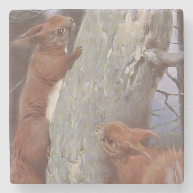 EKORREN (Sciurus vulgaris) Stenunderlägg (Framsidan)