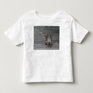 Ekorresmåbarnt-skjorta Tee