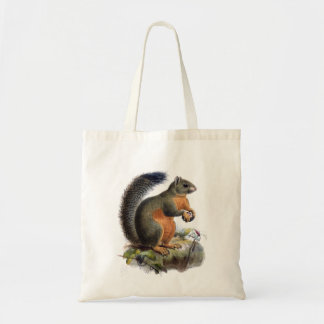Ekorrevintageillustration Tygkasse