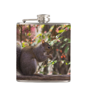Ekorrutfodringstid Fickplunta