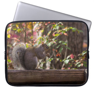 Ekorrutfodringstid Laptop Sleeve