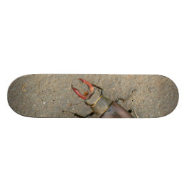 EkoxeSkateboard Mini Skateboard Bräda 18,7 Cm