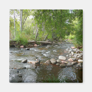 Ekström och gräsänder Naturfotografi Magnet