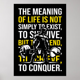 Ekver - Motiveringell gym, träningsfack Poster
