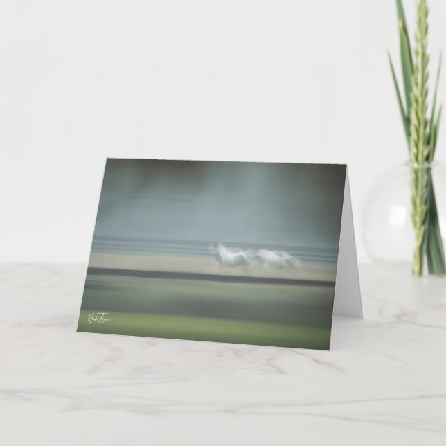 Ekvine Illusion Note-kort Tack Kort (Framsida)