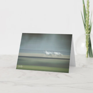 Ekvine Illusion Note-kort Tack Kort