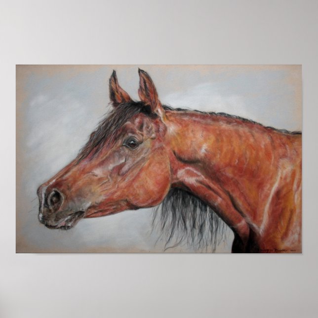 Ekviriös Poster (Framsidan)