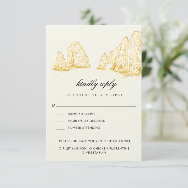 El Arco Cabo San Lucas Kindly Reply | Meal Options OSA Kort (Stående Fram)