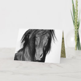 El Caballo Negro Horse Greeting Card Kort