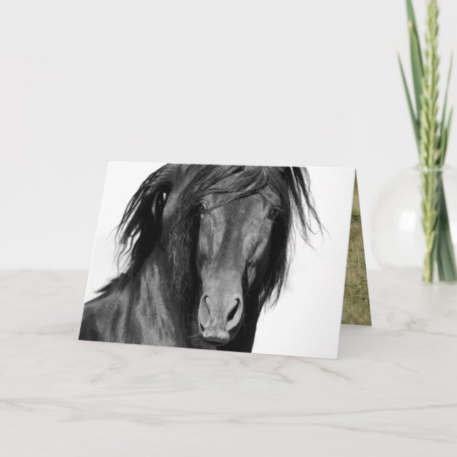 El Caballo Negro Horse Greeting Card Kort (Framsida)