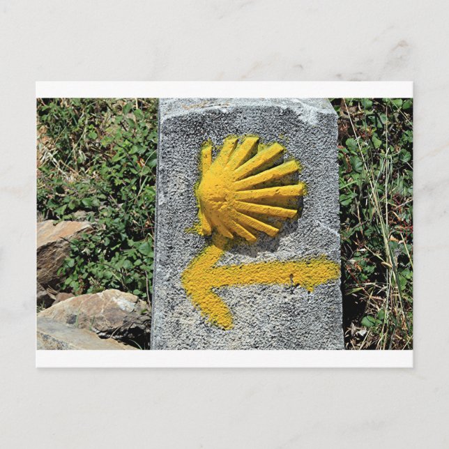 El Camino de Santiago de Compostela, Spanien, snäc Vykort (Framsida)