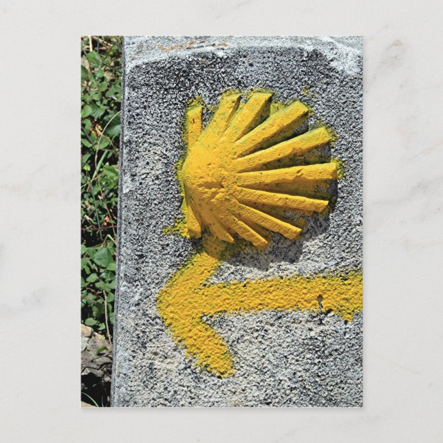 El Camino de Santiago de Compostela, Spanien, snäc Vykort (Framsida)