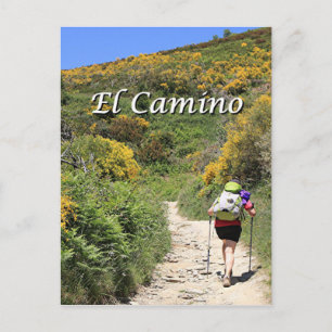 El Camino de Santiago de Compostela, Spanien Vykort