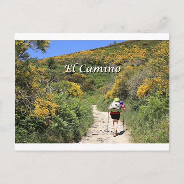 El Camino de Santiago de Compostela, Spanien Vykort (Framsida)