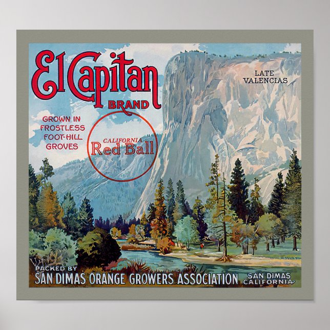 El Capitan Brand San Dimas Apelsiner Fruktetikett Poster (Framsidan)
