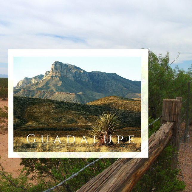 El Capitan, Desert, Guadalupe Mountains NP, Texas Vykort (Skapare uppladdad)