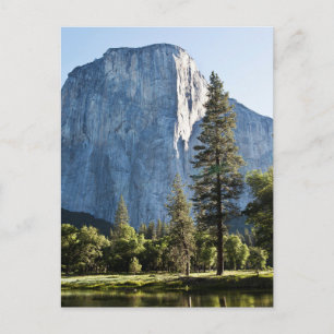 El Capitan Yosemite Nationalparkens vykort