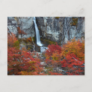 El Chorrillo Waterfall Patagonia, Argentina Vykort