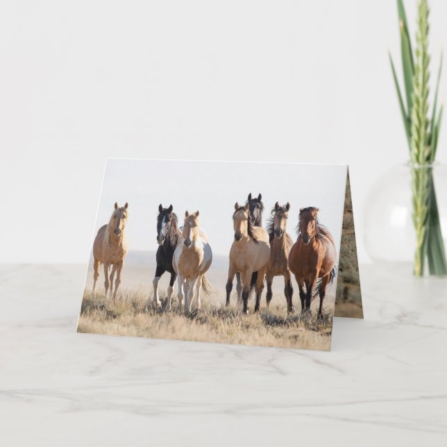 El Dorado och hans familjegratulationskort Tack Kort (Framsida)