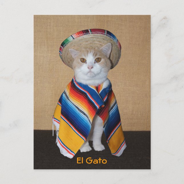 El Gato Cat in Sombrero och Serape Vykort (Framsida)