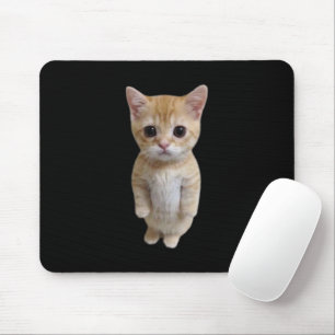 El Gato Cat Meme Mouse Pad Musmatta