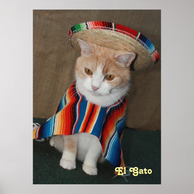 El Gato Poster (Framsidan)
