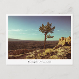El Malpais National Monument Vykort