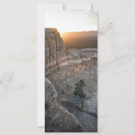 El Malpais Sandstone Bluffs Kort