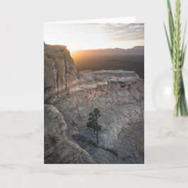 El Malpais Sandstone Bluffs Kort