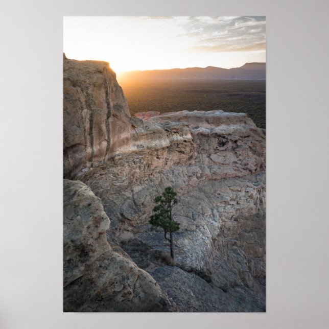 El Malpais Sandstone Bluffs Poster (Framsidan)