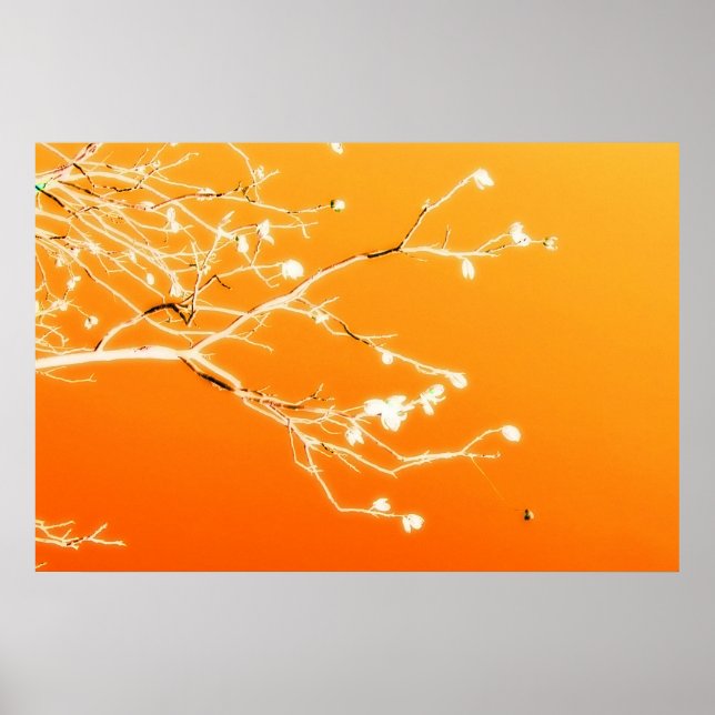 El Paso Poster (Framsidan)