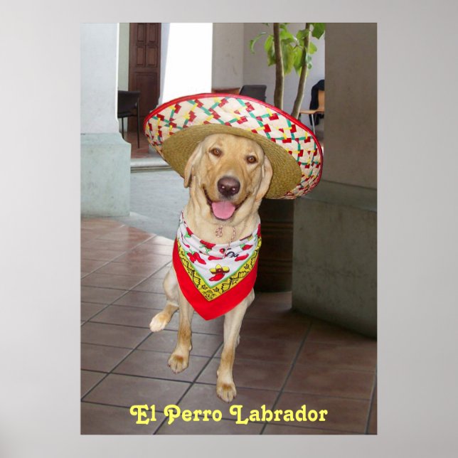 El Perro Poster (Framsidan)