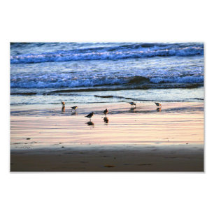 El Porto Manhattan Beach Fototryck