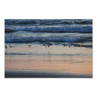 El Porto Manhattan Beach Fototryck