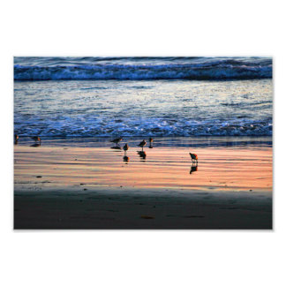El Porto Manhattan Beach Fototryck